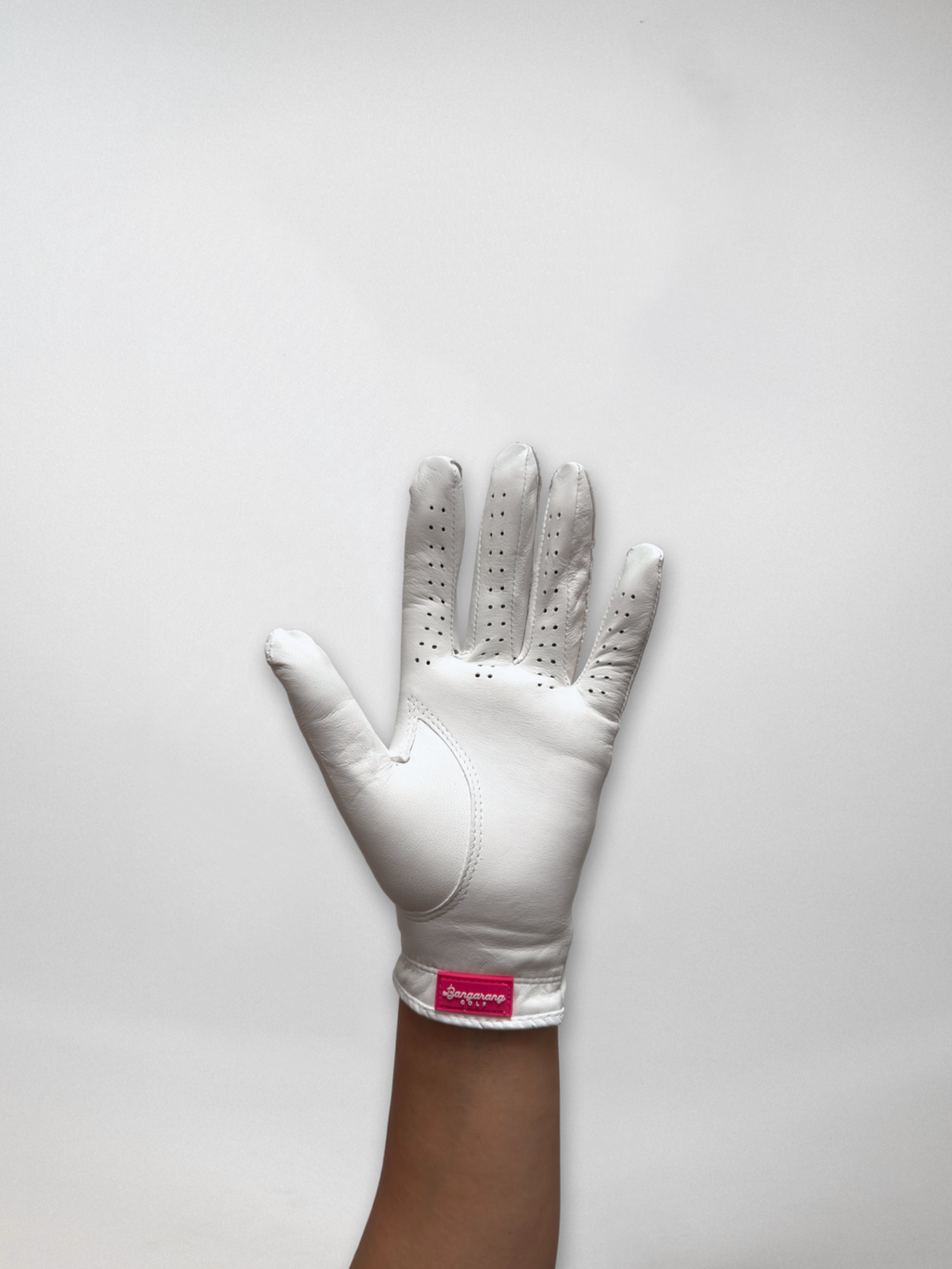 The Entitled Signature Left Handed Glove
